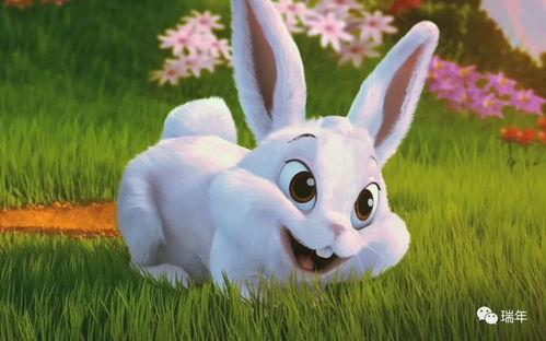 娱乐吃瓜小兔子视频下载,揭秘娱乐圈幕后故事  第3张