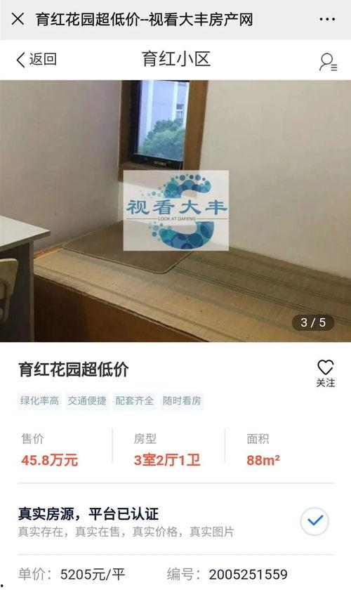 大丰房产爆料最新消息新闻,揭秘楼市动态，热点项目一网打尽  第2张