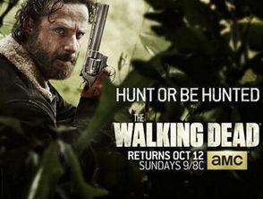 行尸走肉5在线观看,生死边缘的绝望求生之旅  第3张