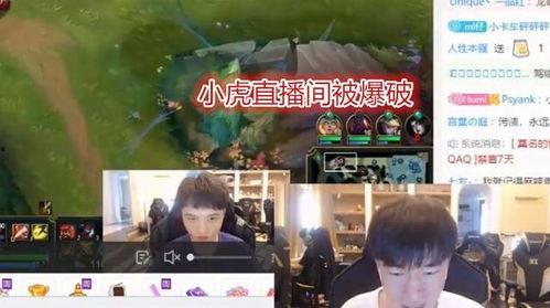 爆料小虎退役了吗视频下载,爆料小虎退役真相,视频下载揭示退役内幕 第3张 爆料小虎退役了吗视频下载,爆料小虎退役真相,视频下载揭示退役内幕 第3张